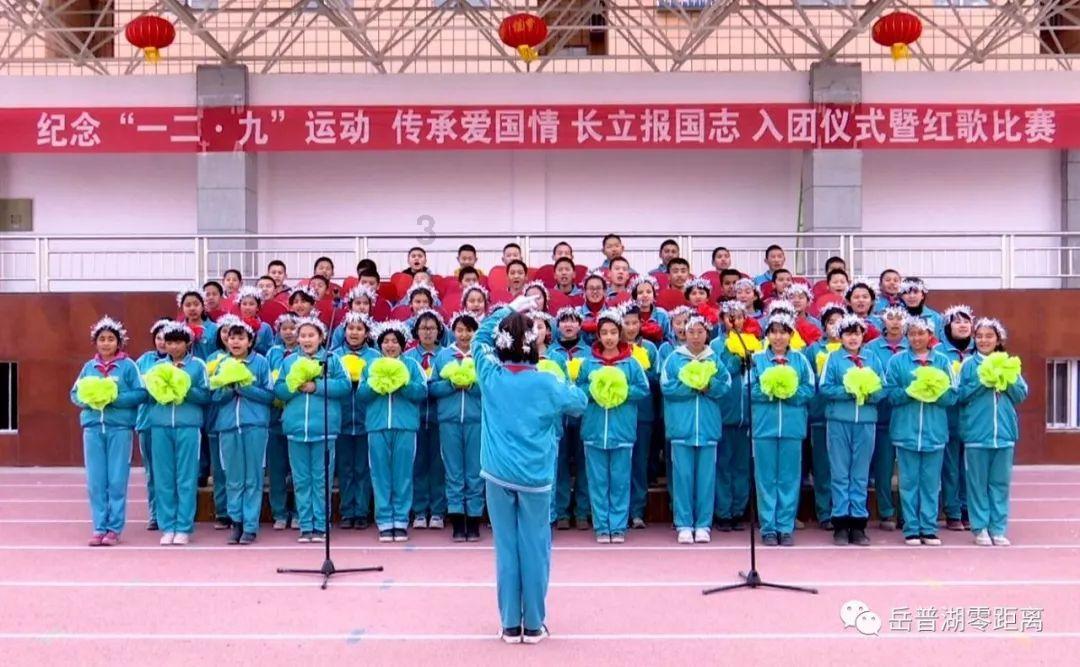 为什么喜欢小狗？游戏画面