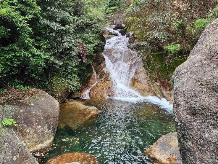 逃离绿色山谷